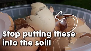 How to CORRECTLY Extract Calcium from Egg Shells for Healthy Plants