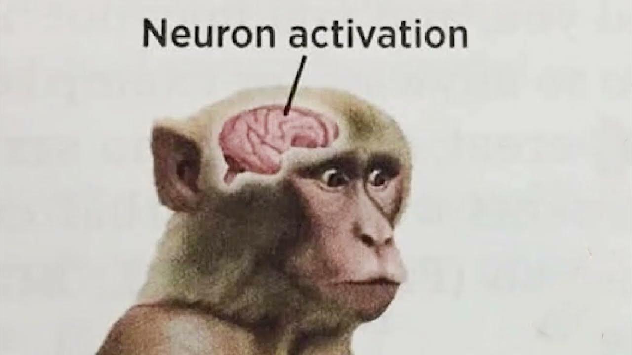 Neutron activation Monkey