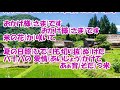 瑞穂の国/山西アカリ カラオケ(♯4)