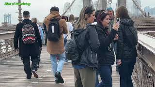 Experience The Ultimate Walking Tour Of The Brooklyn Bridge!