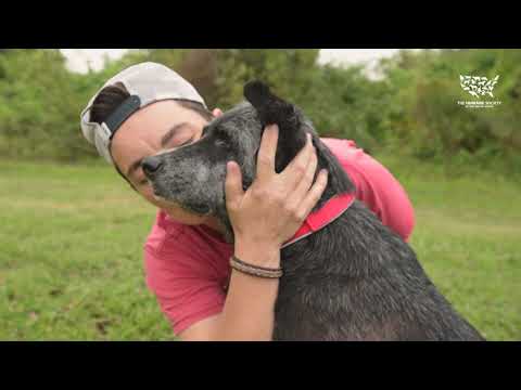 UNLISTED AD - Violet's Rescue and Recovery 60sec