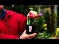 I Dream In Green TV Spot 4 2011 