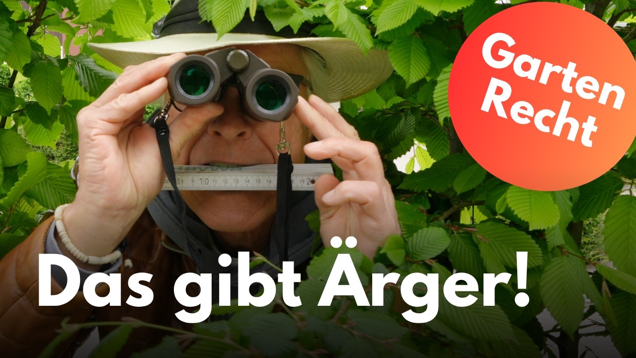 Grenzabstnde fr Hecken: Was erlaubt ist  und was rger gibt!
