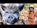 FARM VLOG | BUYING A HOUSE, GARDENING, & PIGS