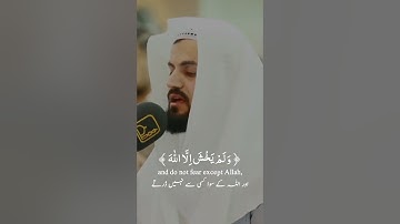 Raad Al kurdi Whatsapp status with Urdu English translation| رعد الكردي حالات واتس اب| سورة التوبة