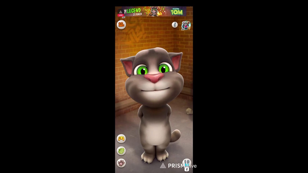 My talking tom live 2016 