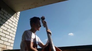 Bortnik A. double bass Lamb - I can fly contrabass cover