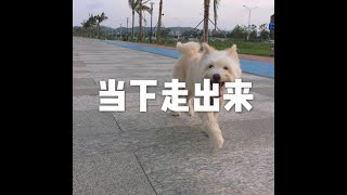 201806 当下走出来50349