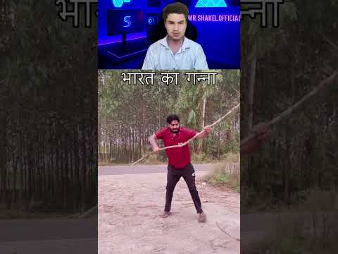 قصب السكر الهندي أغنية أجنبية