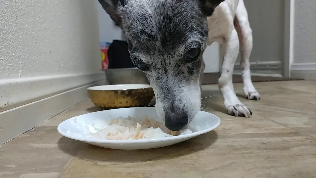 Mona's Valentine's Dinner - YouTube