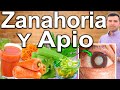 JUGO DE ZANAHORIA Y APIO EN AYUNAS - ¿Para Qué Sirve? - Beneficios Para Tu Salud Y Belleza