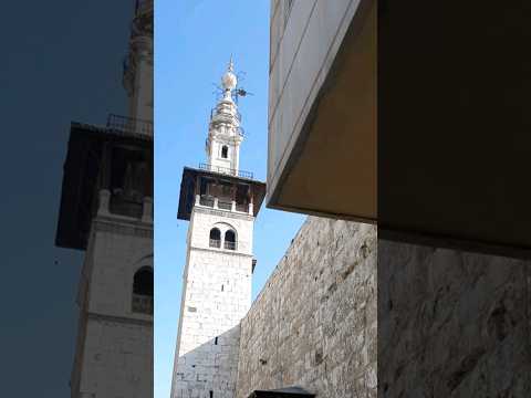 ضريح الشهيد العلامة محمد سعيد رمضان البوطي