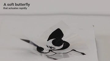 Electriflow: Soft Electrohydraulic Actuators for Shape-Change