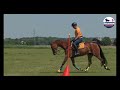 Horseboarding Holland: Nationaal Kampioenschap Ruiters 2023- Stein