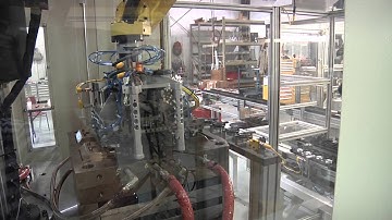 Fanuc Robot Loading/Unloading Vertical Molding Machine (Angle 2) by Pro Systems