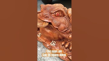 Cóc gỗ ngọc am. Cao 26 ngang 40cm. 3tr800k
