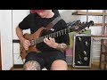 Animals as leaders  lippincott guitar cover