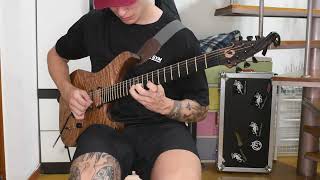 Animals as Leaders - Lippincott Guitar Cover