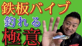【鉄板バイブ講座】鉄板マニアが断言！シーバスはこれで釣れる！