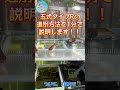 五式タイプRの選別方法を1分以内で説明します！ ＃Ｓ０１ ～美心めだか～ #shorts