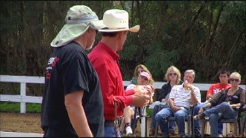 Lou Roper Clinic Training Bit