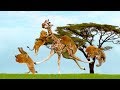 Amazing Giraffe Knockout Herd Of Lions One By One | Lion vs Giraffe