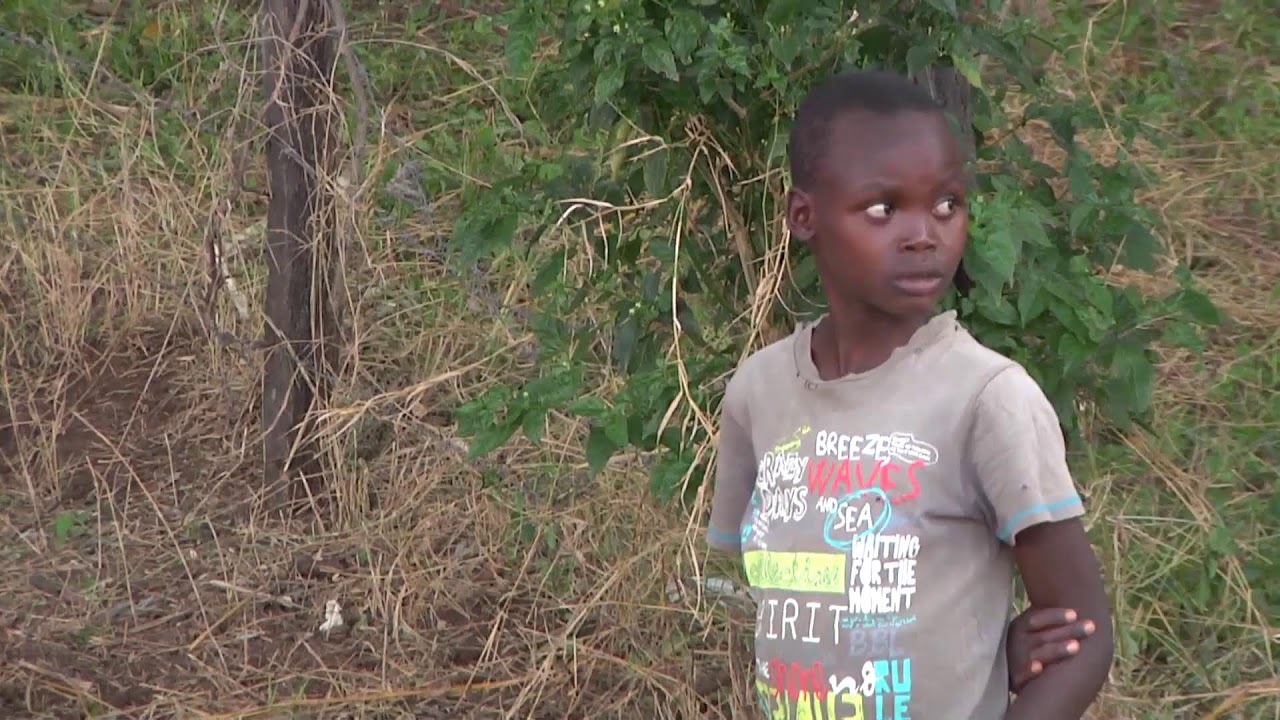 Verso la beatificazione di Ambrosoli: intervista al dott. Tito e don Paul