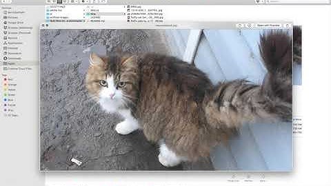 Scrape images from Bing using Bulk-Bing-Image-downloader