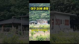 사람들 대구 촌땅 사서 뭐 할까?
