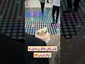رقص چاقو با خواهر عروس باشه یا برادر عروس تالار عروس عروس داماد
