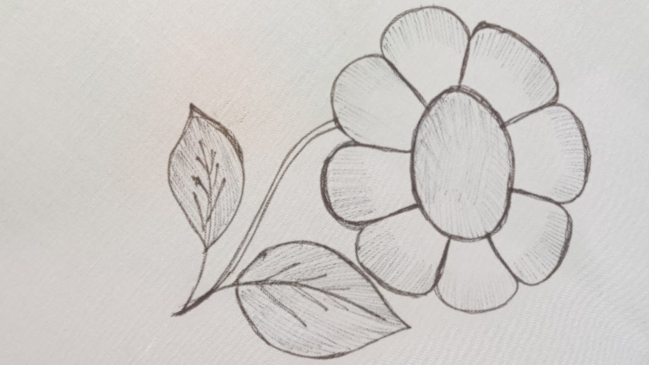 Beautiful Brazilian Flower Hand Embroidery Tutorial l Easy Flower Embroidery work l Basic stitches