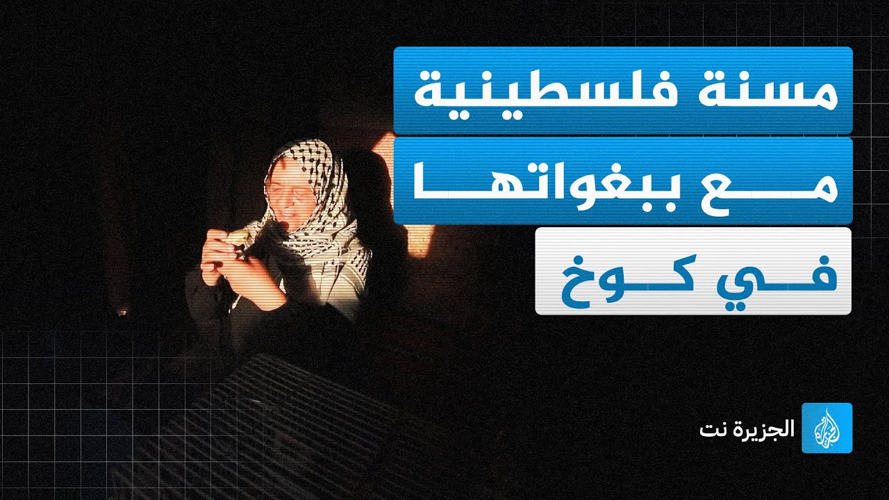 مسنة فلسطينية تعيش في كوخ مؤقت بمستشفى ناصر مع ببغاواتها