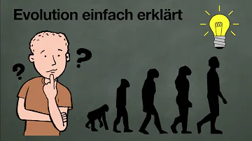 Wie lange gibt es die Evolution?
