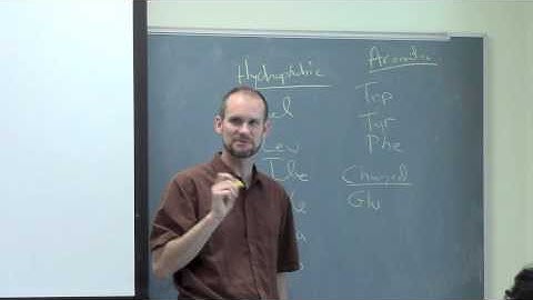 Lecture 1: Protein Structure Prediction and Design - Introduction and Protein Structure Review