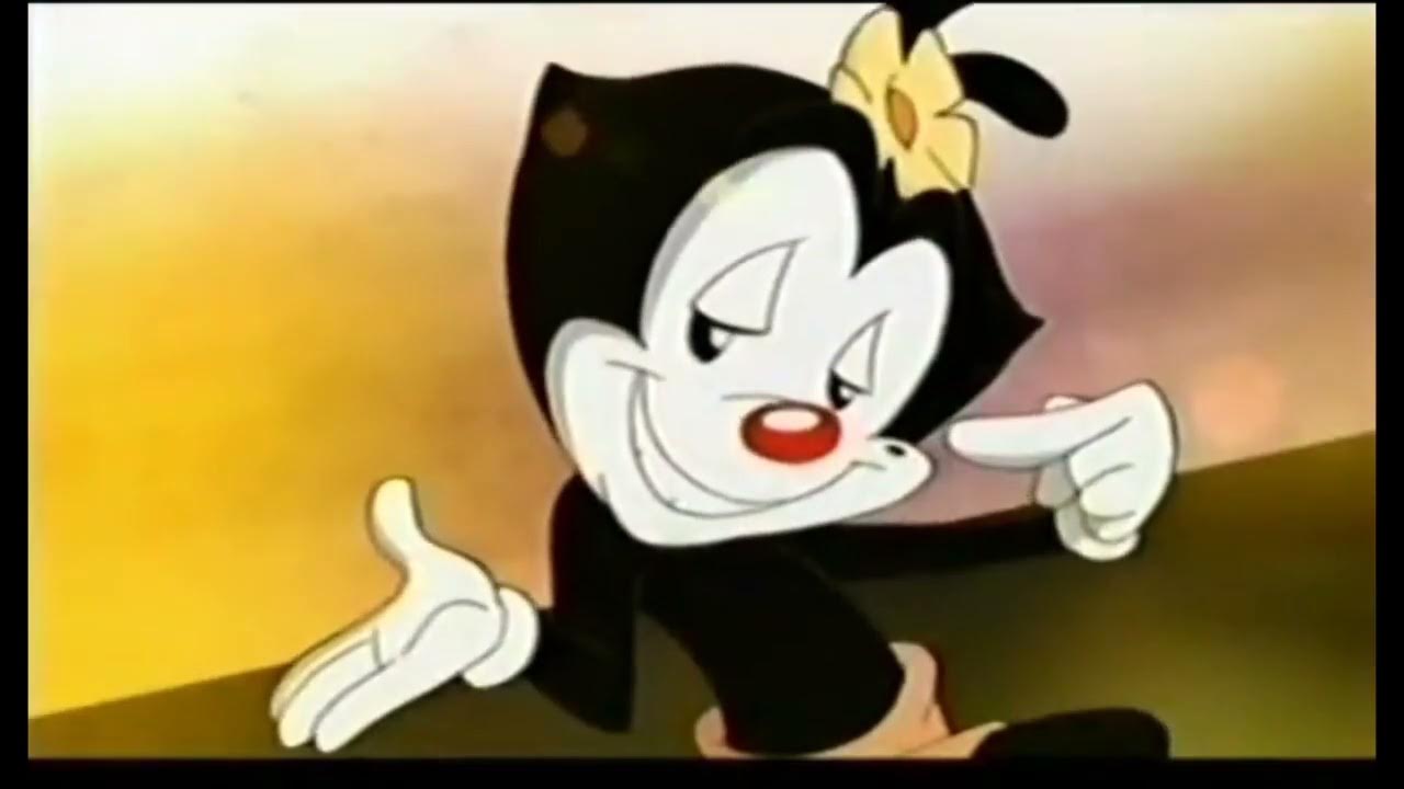 The Hub Network Animaniacs 20112013 Bumper Collection YouTube