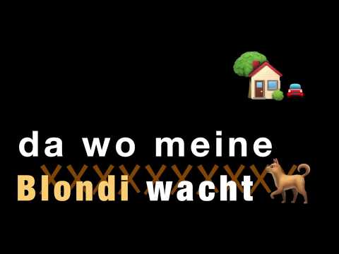 Wilde Jungs - Jägerzaun (Offizielles Lyric Video)