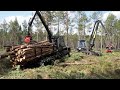 Malwa 560f forwarder and malwa 560h harvester compact class forest machines thinning pine on a moor