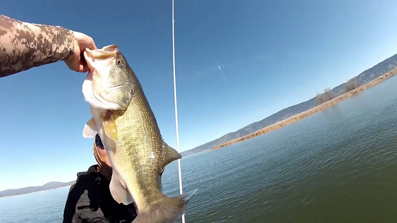 clear lake 2016 YouTube