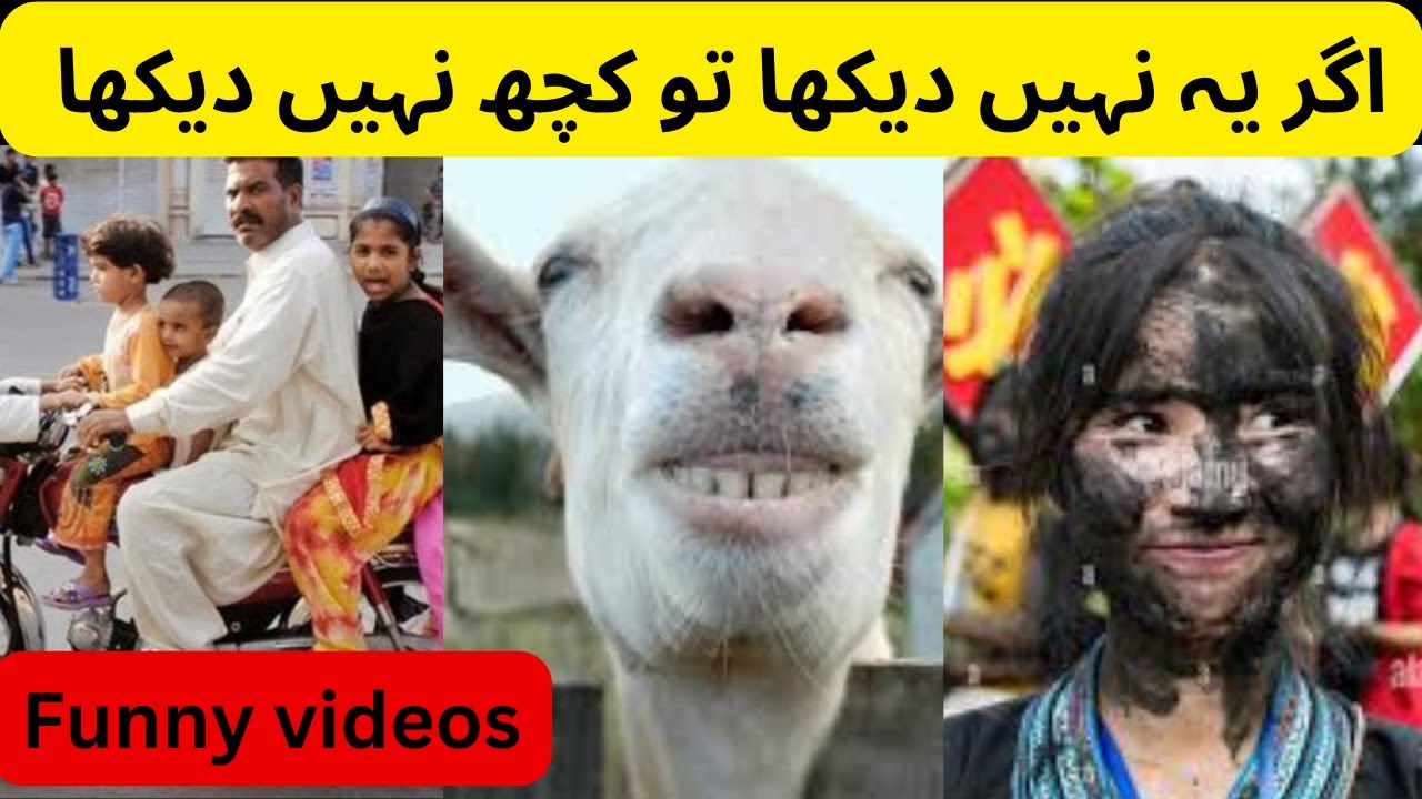 Most Funniest and viral moments caught on camera 😅😘 | funny video - YouTube