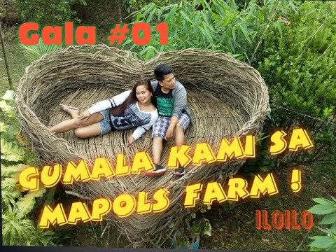 Mapols Farm Mapols Farm