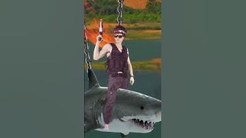 Professionals. Do Not Attempt.