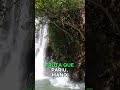 CAIU QUE NEM COCÔ 💩