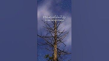 سورة الغاشية#AlQuran   #QuranicTale