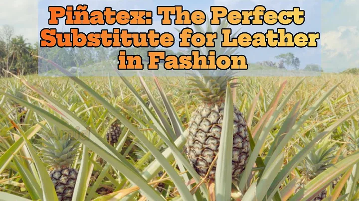 Piñatex: The Perfect Substitute for Leather in Fashion