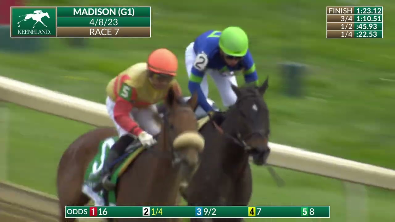 Champion Goodnight Olive Victorious in Madison Return - BloodHorse