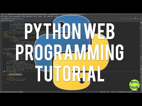 Python Web Programming - Inserting Dynamic Data