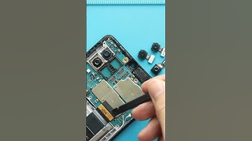 How to Remove Galaxy A42 5G Front & Rear Camera