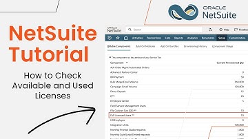 NetSuite Tutorial: How to Check Available and Used Licenses