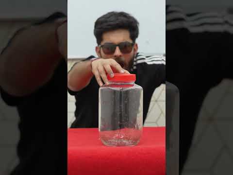 Mosquito Bite Testing #bluebox