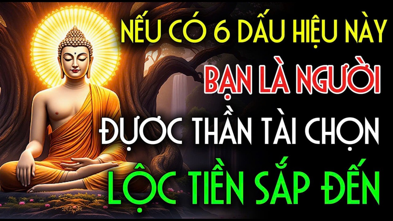 AI CÓ 6 DẤU HIỆU NÀY, BẠN LÀ NGƯỜI CÓ PHƯỚC NHIỀU KIẾP, Sắp Bước Vào Thời Kỳ Phát Lộc